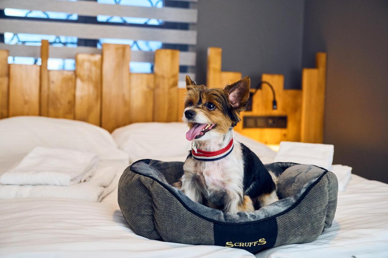 Wellness Hotel Liberecka Vysina ภายนอก รูปภาพ